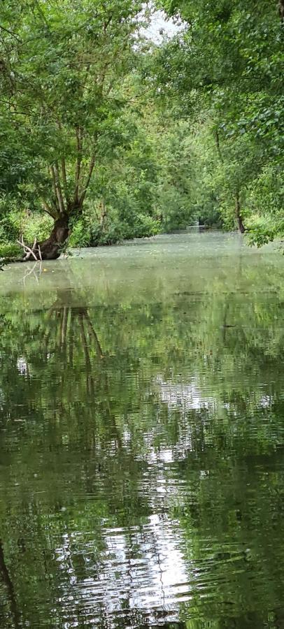 L'Enclos Bleu, Gite - Marais Poitevin Avec Piscine Chauffee Chaille-Les-Marais Exteriör bild